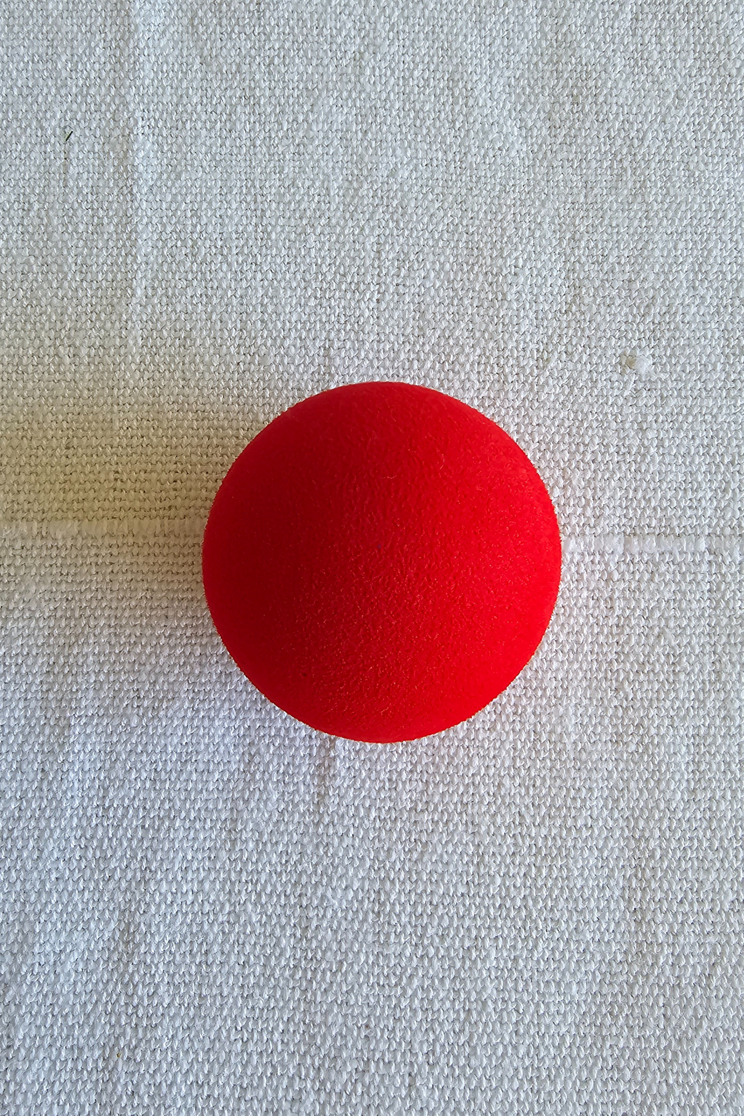 Pelota